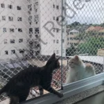 Redes de Proteção Janela gatos